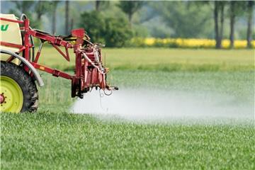 Tierwohl, Umwelt- und Klimaschutz sollen eine größere Rolle spielen. Foto: Patrick Pleul