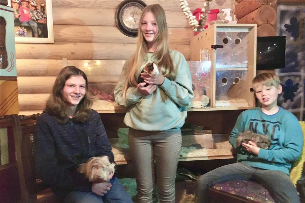 Nach tragischem Feuerwehreinsatz: Heiko Eigenbrodt adoptiert Meerschweinchen Emil Till, Lia (mit Emil auf dem Arm) und Finn kümmern sich um die Meerschweinchen im Hause Eigenbrodt.