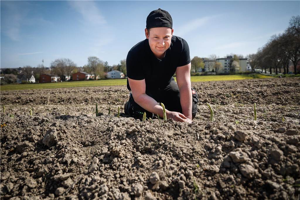 Spargelzeit beginnt: Hier gibt es Spargel in Dortmund zu kaufen Tobias Erve vom Steffenhof zeigt ein Feld, auf dem grüner Spargel angebaut wird.