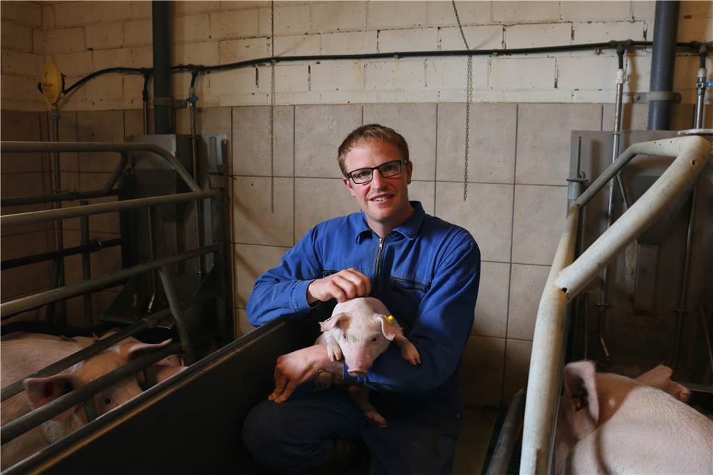 Landwirt aus Herbern: „Ich habe auch Schweine zu Mecke gebracht - allerdings gesunde“ Tobias Großerichter macht bei der Initiative Tierwohl mit, die sich für eine artgerechte Tierhaltung einsetzt. Der Landwirt aus Herbern, der selbst auch Tiere an Mecke geliefert hat, ist schockiert über die Bilder aus der Viehsammelstelle.