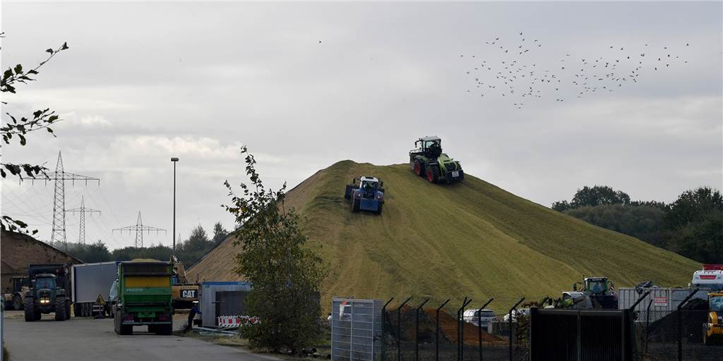 Biogas: Stadtwerke Lünen nicht von EEG betroffen - neuer Invest in Velen Tonnenweise Mais wird Jahr für Jahr zur Biogasanlage der Stadtwerke-Tochter Bioenergie Lünen transportiert, wie hier nach der Ernte im Herbst 2021. Der Wegfall der EEG-Umlage hat auf das Lüner Unternehmen keine direkten Auswirkungen, denn gefördert wird die Anlage ohnehin nicht.
