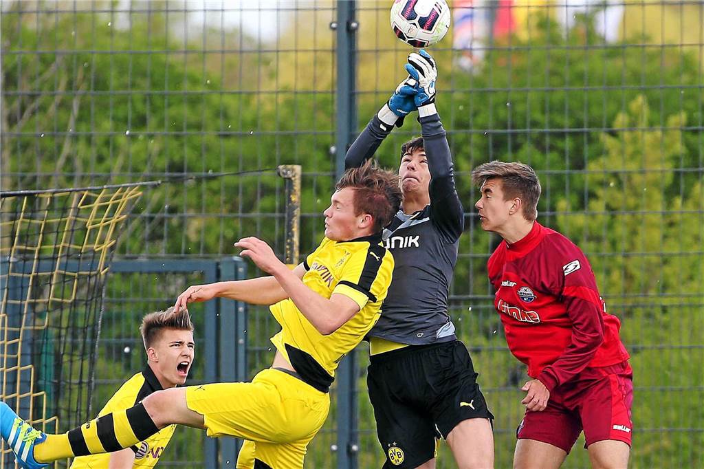 Fink und Reyna: Welche BVB-Toptalente aus dem Ausland es nach oben schafften und welche nicht Torhüter Mario Schragl im Jahr 2016
