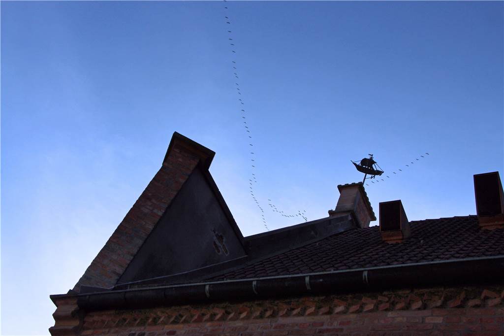 Zu Simjü fliegen nicht nur Besucher in Karussells durch die Luft, sondern auch Kraniche Traditionell zu Simjü zeigen sich einige Kraniche über dem Himmel in Werne, hier am Alten Rathaus