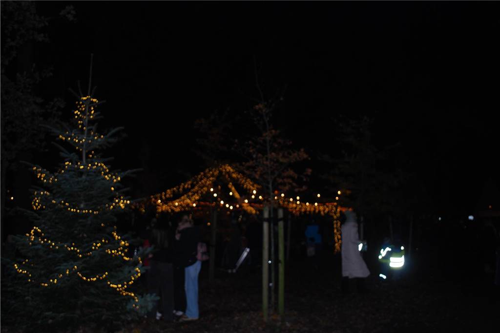 Trotz der Dunkelheit sorgten die vielen kleinen Lichter für weihnachtliche Stimmung auf dem Adventsmarkt. 