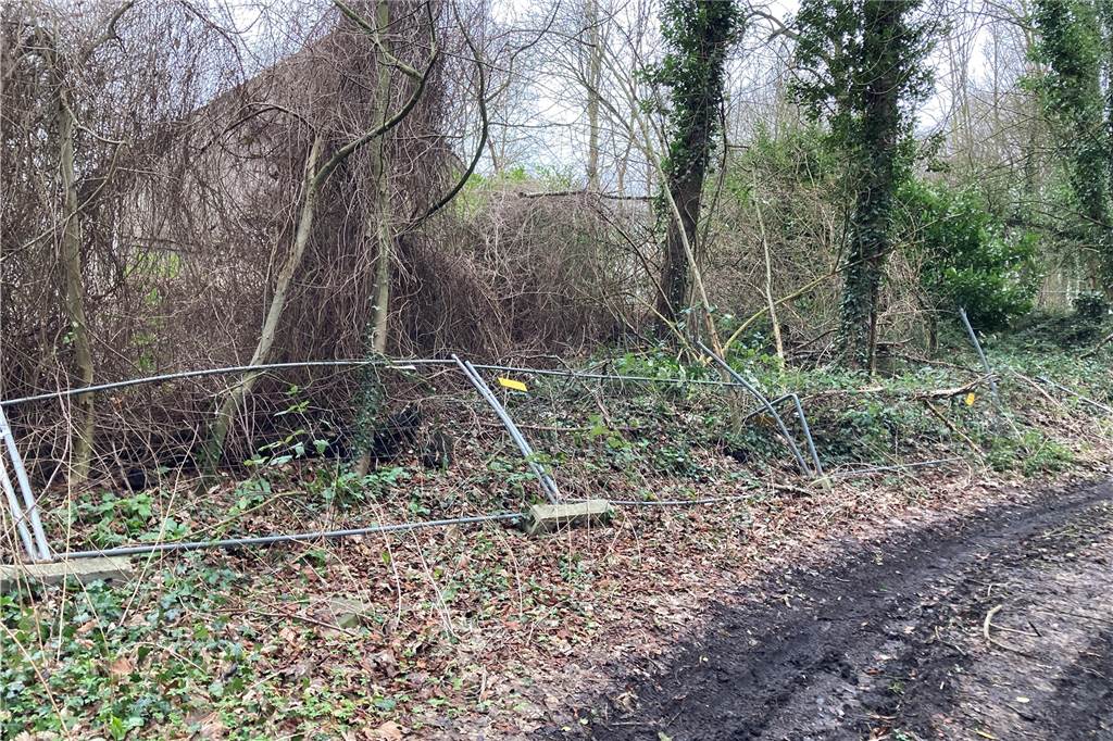 Waldbesitzer Dieter Kuhne über die Sturmschäden: „Es ist ein Drama“ Trotz der schweren Betonfüße wurde der Bauzaun von einem umgestürzten Baum einfach niedergedrückt.