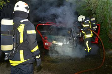 Trotz des schnellen Eingreifens der Feuerwehr brannte das Auto komplett aus.