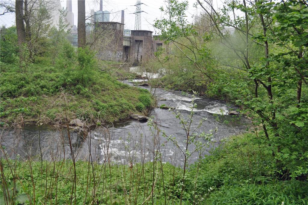 Widerstand gegen neues Wasserkraftwerk in der Lippe angekündigt Trotz Fischtreppen sind die Wehre (hier am ehemaligen Steag Kraftwerk in Lünen) oft unüberwindbare Hindernisse für die Fische.