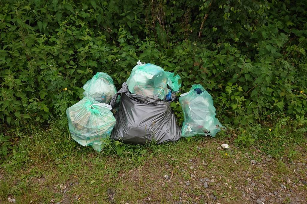 Wildparker, Saufgelage, Müllberge: Wieder Ärger am Strönfeldsee Tütenweise Müll müssen die Angler nach wettertechnisch schönen Wochenenden am Strönfeldsee einsammeln.