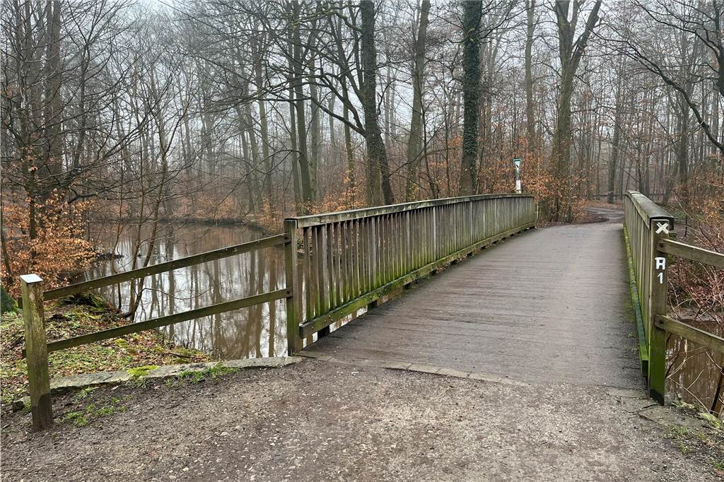 Waldyoga in Sythen: Entspannung und Bewegung unter freiem Himmel Mühlenbach in Sythen