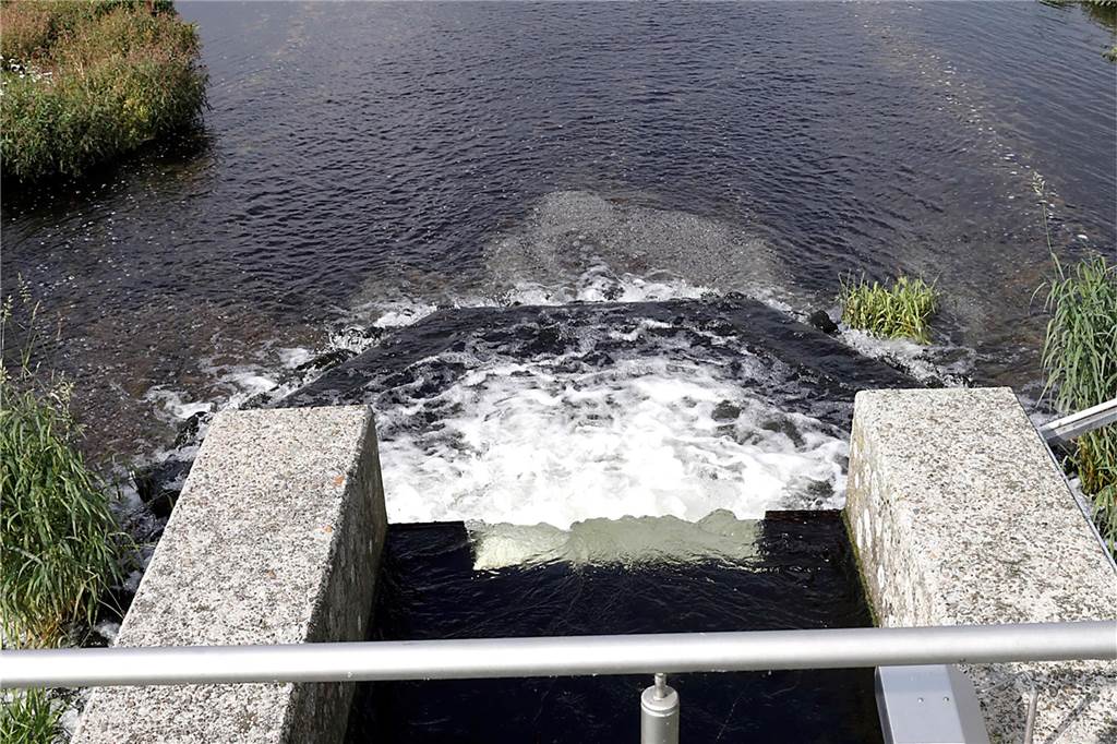 Höherer Grubenwasser-Anstieg: Lippeverband sieht keine Probleme Versickerungsbecken zur Filterung von Trinkwasser am Wasserwerk in Haltern.