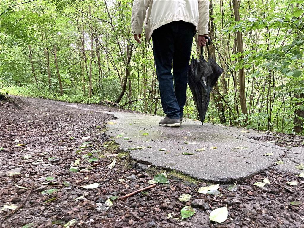 Über Stock und Stein: Die Wege in der Bolmke sind an vielen Stellen äußerst holprig.