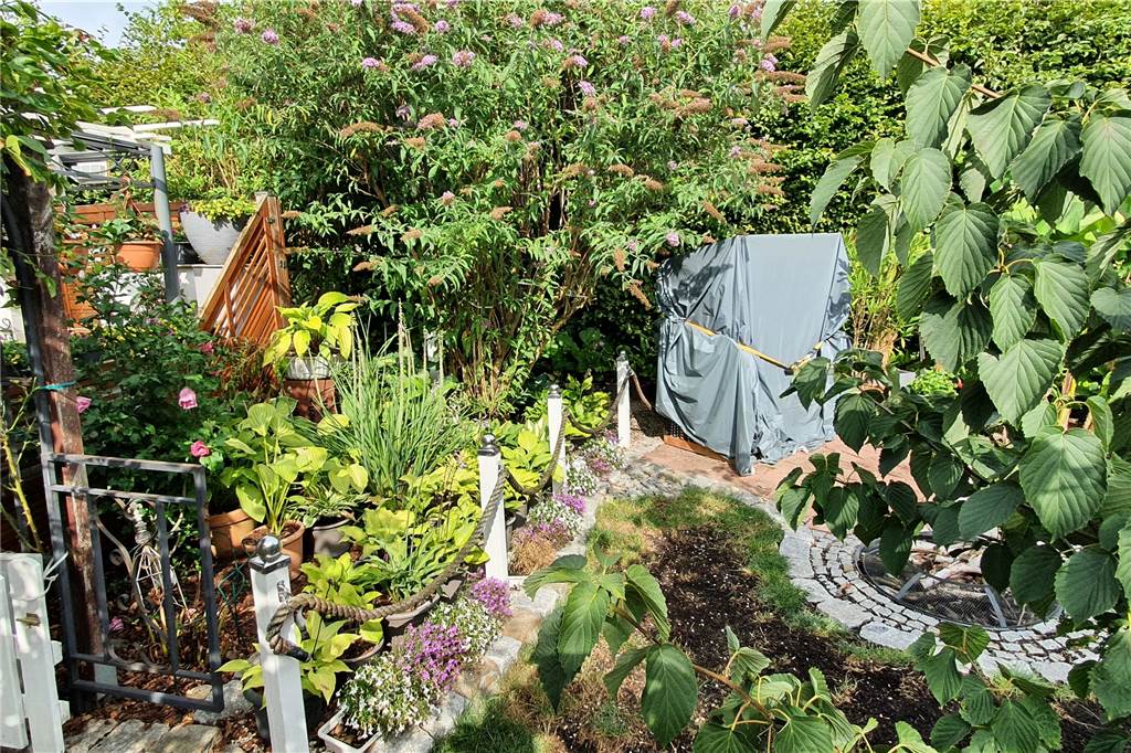 Über 500 Pflanzen: Katrin Walter (52) ist die Königin der Schattengewächse Überall im Garten finden sich die Hostas in vielen Farben und Formen.
