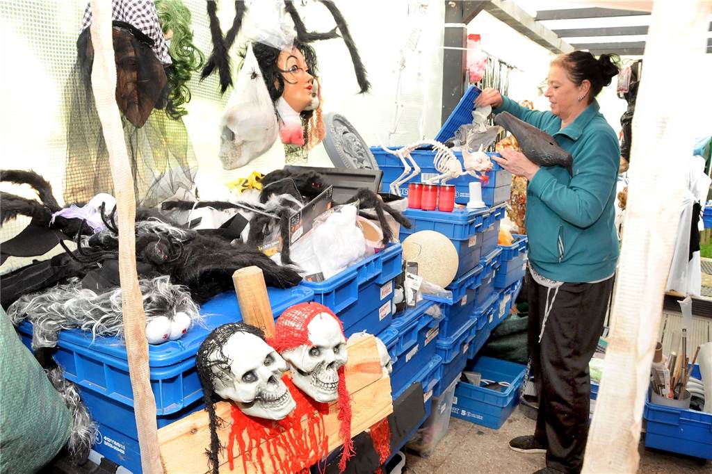Skelett am Spieß: Das Horror-Haus von Geisecke trotzt der Energiekrise Übersichtlich in Themen-Kisten verpackt hat Patricia Schneider die unzähligen Requisiten für ihren Horrorgarten zu Halloween. Bei jedem Gang in den Keller wird jetzt eine von ihnen zum Aufbau wieder mit nach oben genommen.