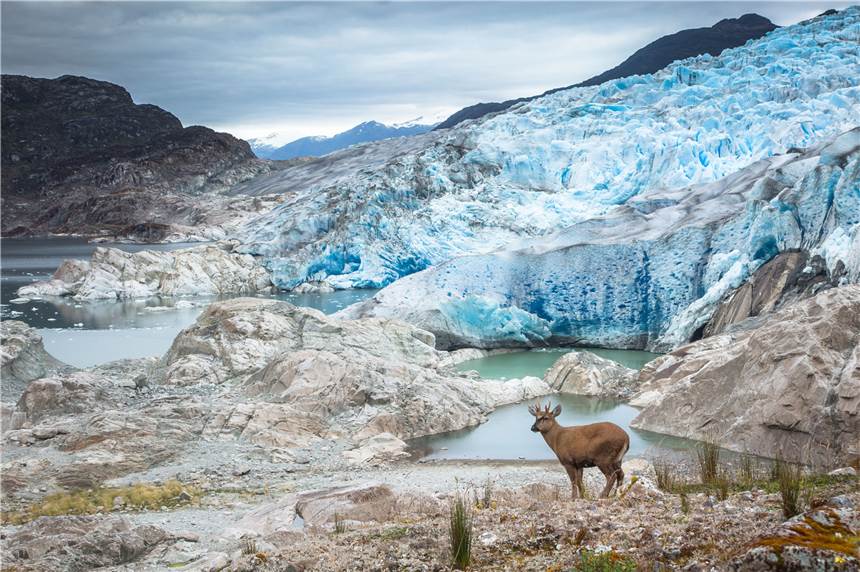 Ugo Mellone zeigt einen Vortrag zum Themsa "Jenseits des Alpenglühens - Naturschutz-Storys aus Patagonien". Mellone ist gebürtiger Italiener, lebt aber heute in Spanien. Dank seiner majestätischen Landschaften gehört Patagonien zu den beliebtesten Reisezielen unter Naturfotografen.