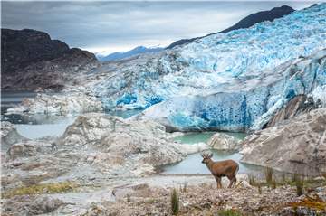 Ugo Mellone zeigt einen Vortrag zum Themsa "Jenseits des Alpenglühens - Naturschutz-Storys aus Patagonien". Mellone ist gebürtiger Italiener, lebt aber heute in Spanien. Dank seiner majestätischen Landschaften gehört Patagonien zu den beliebtesten Reisezielen unter Naturfotografen.