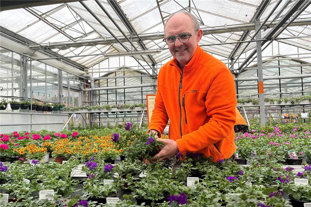 Mittel gegen Schnecken: Ulf Drippe verrät wie man den Garten schützt Ulf Drippe sortiert Blumen im Gewächshaus seiner Gärtnerei.