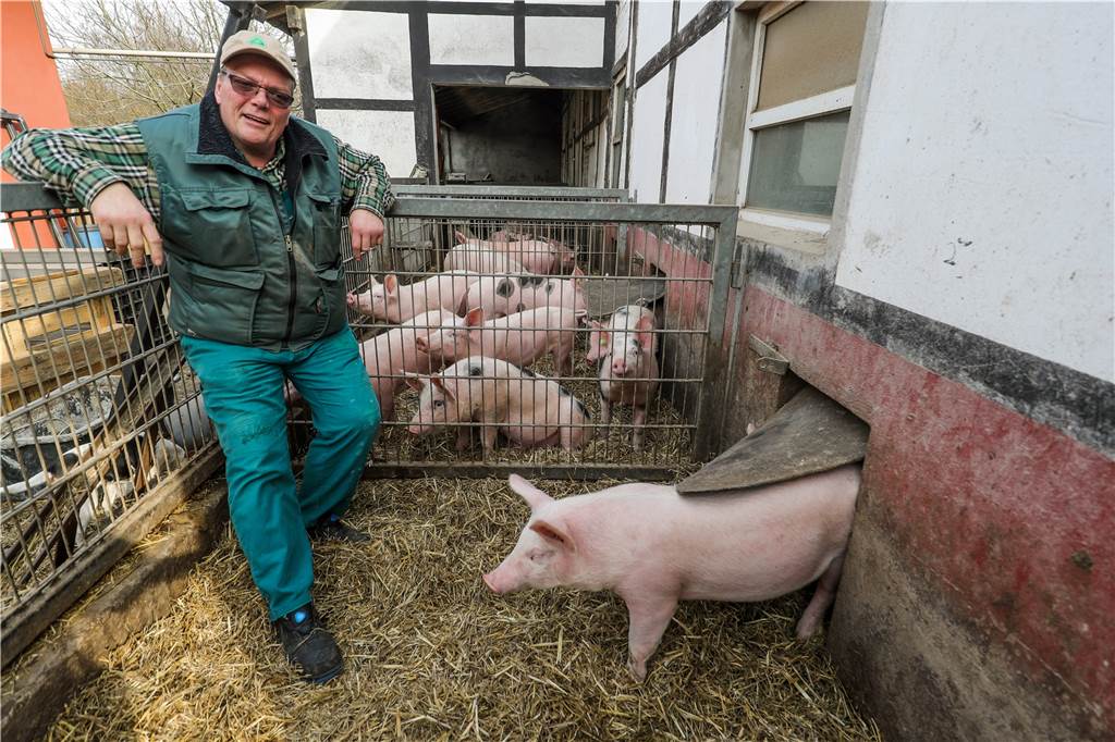 450 Gänse beim Dingebauer: Das Coronavirus ist auch ein Bauern-Problem Uli Dingebauer vermarktet Fleisch und Wurst von seinen Neuland-Schweinen, zum Teil im von seiner Frau betriebenen Hofladen.
