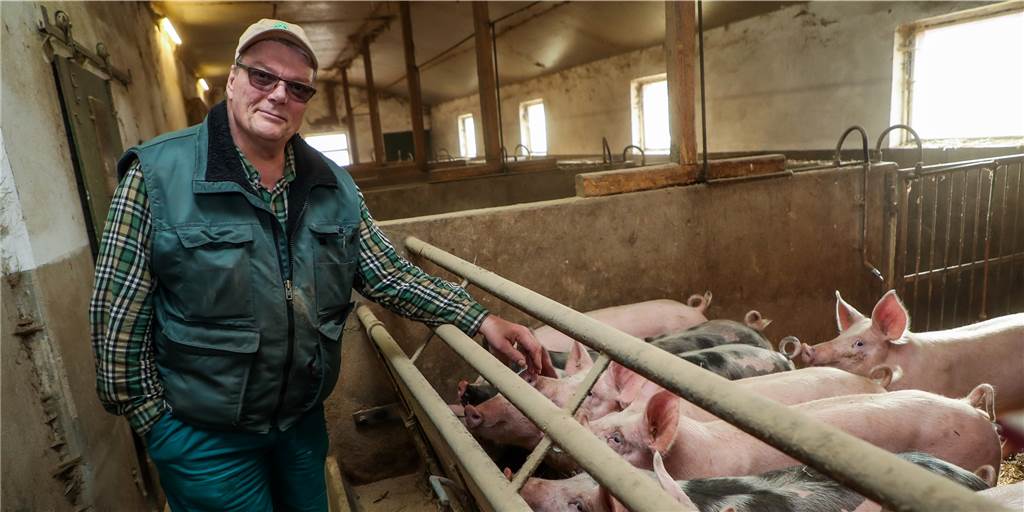 Castrop-Rauxeler Landwirte begrüßen Tierwohllabel: Früher waren wir die Spinner Ulrich Dingebauer gilt als einer der Initiatoren der Neuland-Haltung, die es seit knapp 35 Jahren gibt.