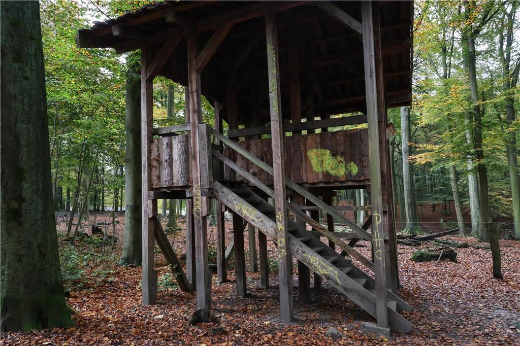 Eine hölzerne Aussichtspattform steht im Wald. Durch mehrere Stufen kann ein überdachtes Podest erreicht werden.