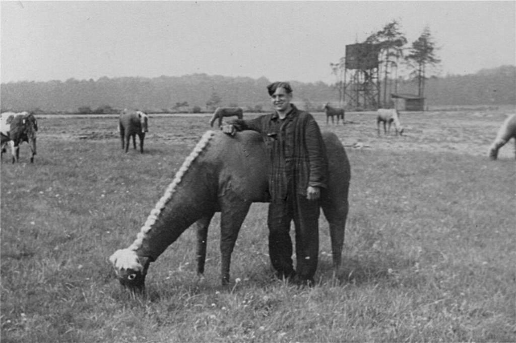 Neues Buch: Der Flugplatz Schwarze Heide im Zweiten Weltkrieg Flugplatz Schwarze Heide, Zweiter Weltkrieg