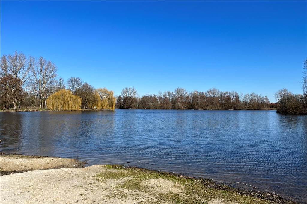 Riss im Stamm: Jahrzehnte alte Weide am Berkelsee gefällt Um die restlichen Weiden müssen sich die Spaziergänger zunächst keine Sorgen machen.