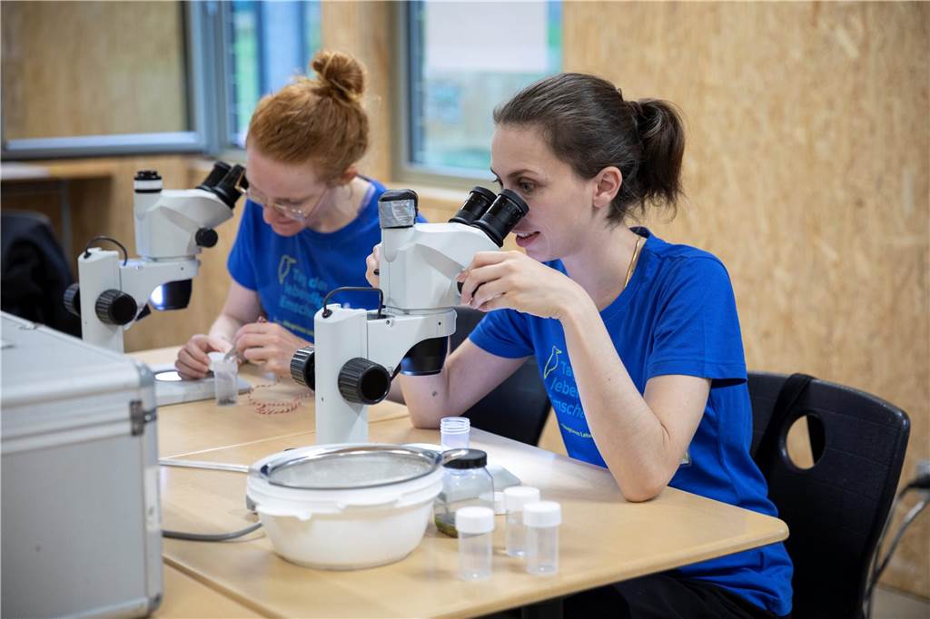 Um die Tier- und Pflanzenarten korrekt zu bestimmen, wurden sie in einer extra für den Tag errichteten Laborstation unter die Lupe genommen.