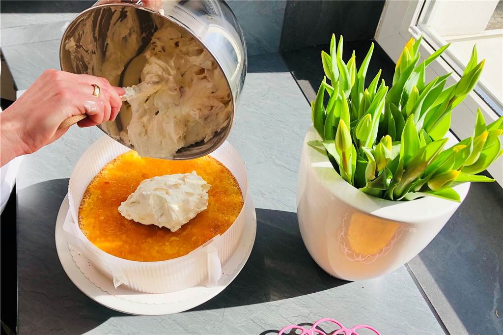 Leckere Pfirsich-Schmand-Torte zu Ostern – so einfach geht‘s Um die Torte zu schichten, muss der Biskuitboden mit einem Tortenring versehen werden.