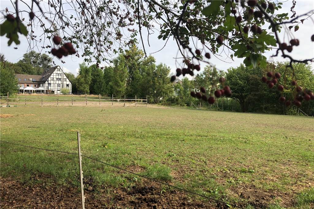 Neubaugebiet „Lennhofe“: Potentielle Bauherren hoffen auf ein neues Zuhause Um diese Fläche geht es. Hier soll gebaut werden.