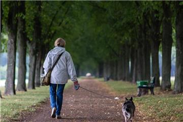 Um Rückenprobleme zu vermeiden, sollten Hundehalter die Leine nicht zu kurz fassen. Der Hund könnte daran reißen. Foto: Sebastian Gollnow