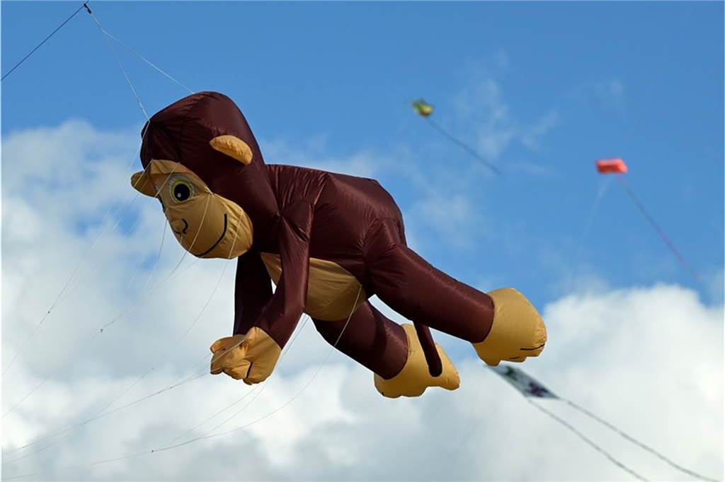 Um Tiere geht es auch beim Drachenfest. Solche und andere Figuren fliegen vom 6. bis 8. Oktober über dem Segelflugplatz in Lünen durch die Luft.