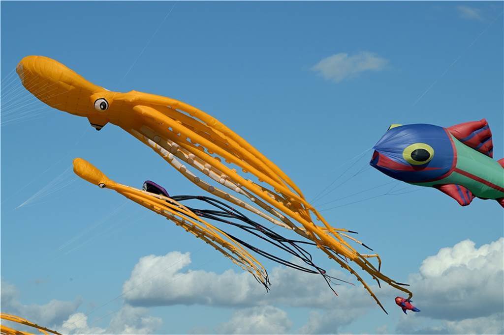 Um Tiere geht es auch beim Drachenfest. Solche und andere Figuren fliegen vom 6. bis 8. Oktober über dem Segelflugplatz in Lünen durch die Luft.