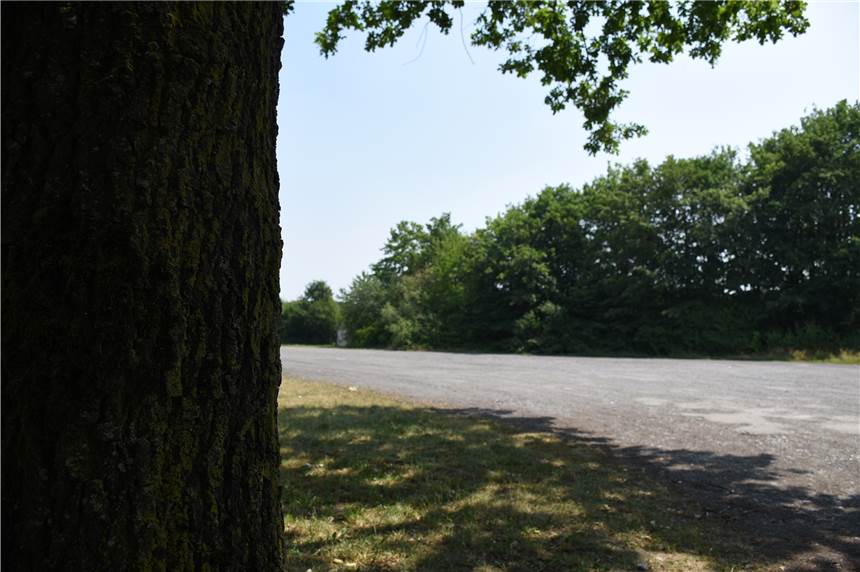 Nach Streit um Kita am Grote Dahlweg: Das ist die Lösung für vier störende Eichen Um vier Eichen am Groten Dahlweg wurde heftig gestritten. Hier soll die neue Kita entstehen. Dafür müssen die vier Pflanzen weichen.
