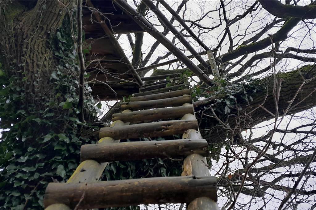 Unheimliche Verstecke im Halbdunkel eines grauen Januartages scheint es überall auf der Wegstrecke des Rundwanderweges W2 zu geben