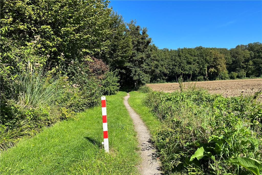 Anwohner weisen auf gefährliche Verkehrssituation in Kurl hin Unmittelbar neben dem Haus der Bauers zweigt ein kleiner Spazierweg ab, der quasi direkt in die Fahrbahn der Greveler Straße mündet.