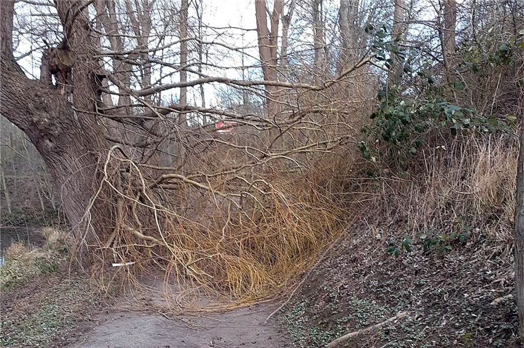 Sturm in Schwerte: Mehrere Einsätze für die Feuerwehr – So wird das Wetter am Samstag Unpassierbar war der Spazierweg rund um den Grüntaler Teich.