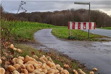 Unser Leser Norbert Mendla hat diese weggeworfenen Brötchen an der Sinsener Straße am Haardgrenzweg fotografiert.