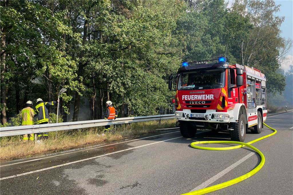 Waldbrand an der A31 und B 224: Alle Löschzüge alarmiert (mit Video) Unser Reporter vor Ort berichtet, dass die Autobahnauffahrt in Richtung Emden gesperrt ist.