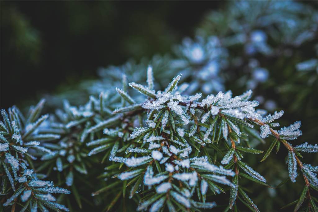 Unsere Leserinnen und Leser haben uns viele schöne Winterfotos aus Haltern zugeschickt.