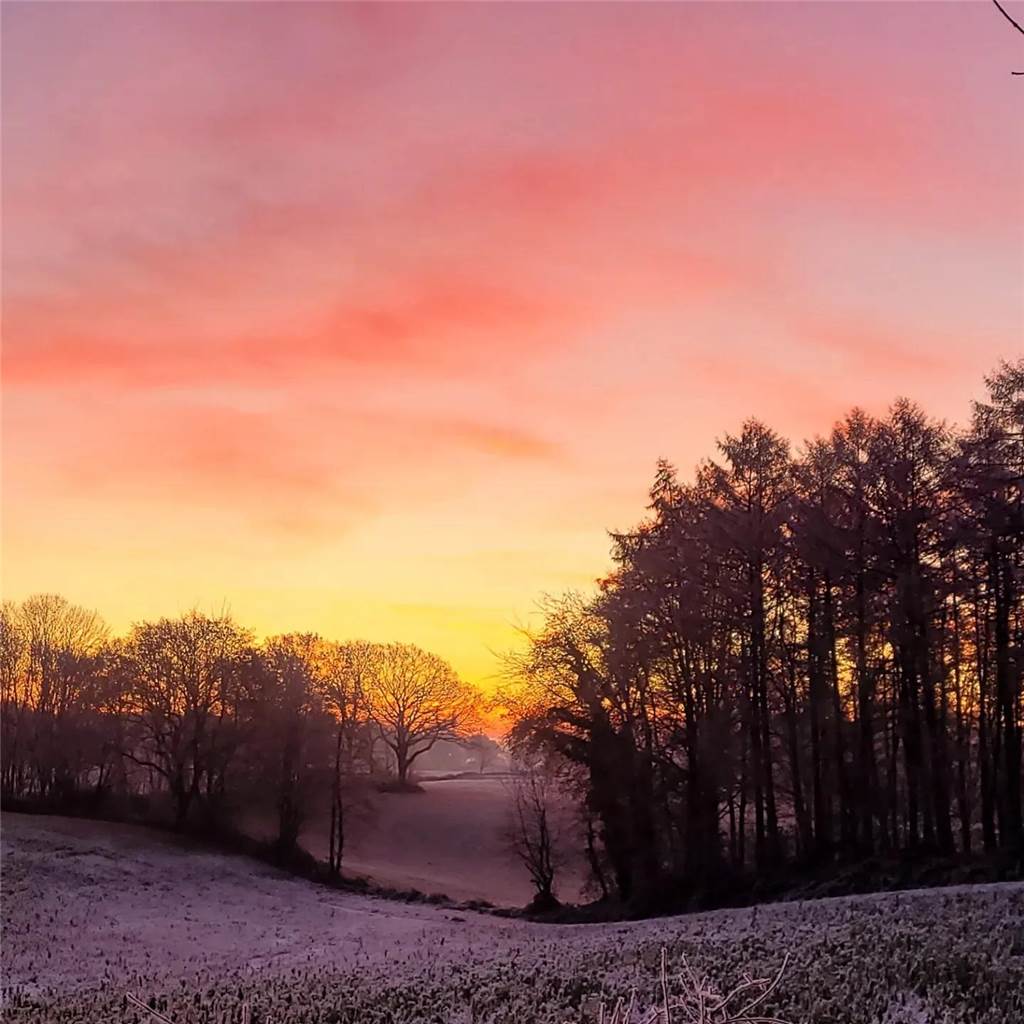 Unsere Leserinnen und Leser haben uns viele schöne Winterfotos aus Haltern zugeschickt.