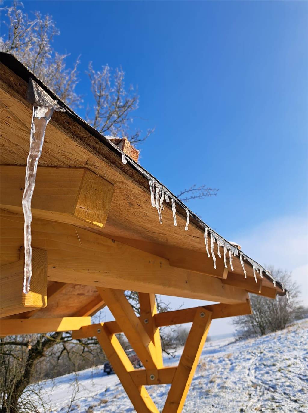 Unsere Leserinnen und Leser haben uns viele schöne Winterfotos aus Haltern zugeschickt.