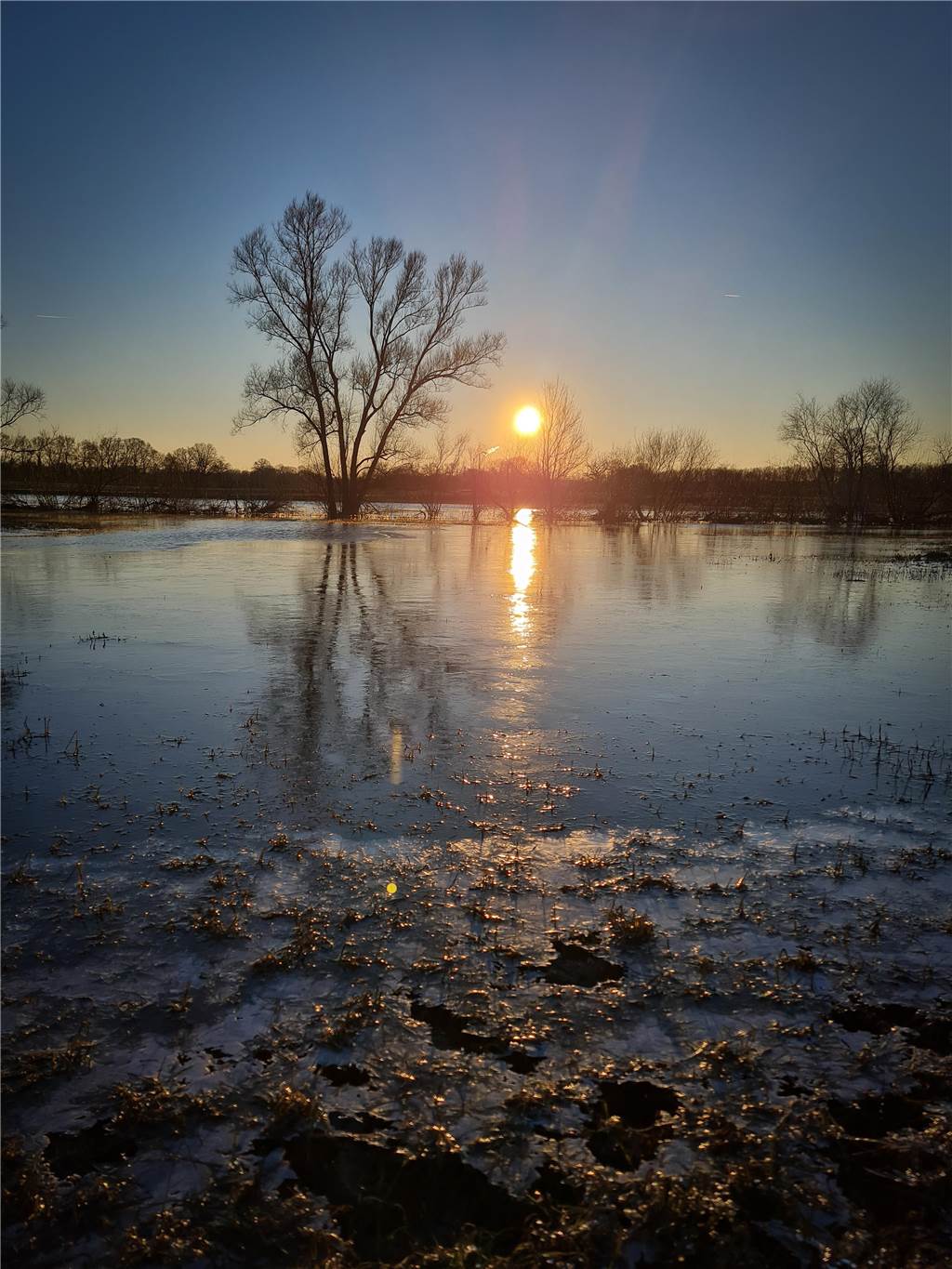 Unsere Leserinnen und Leser haben uns viele schöne Winterfotos aus Haltern zugeschickt.
