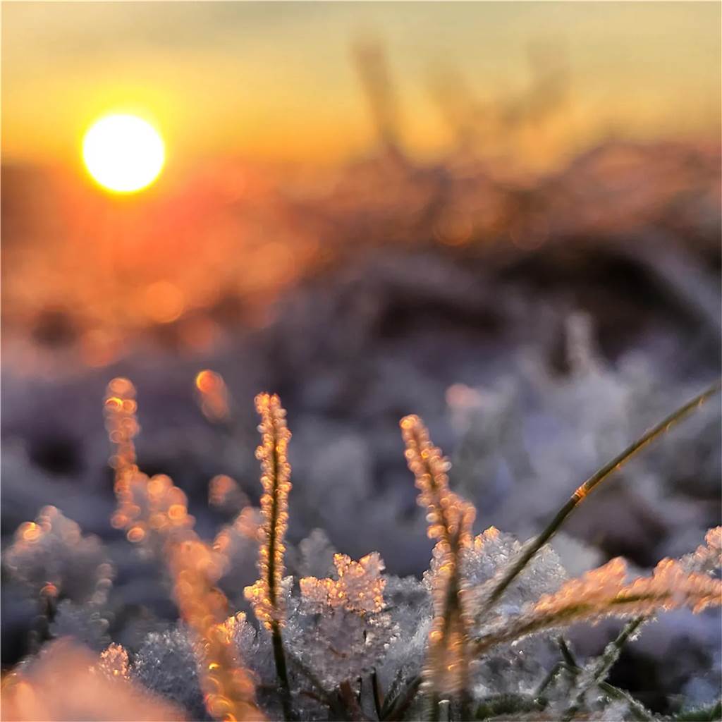 Unsere Leserinnen und Leser haben uns viele schöne Winterfotos aus Haltern zugeschickt.