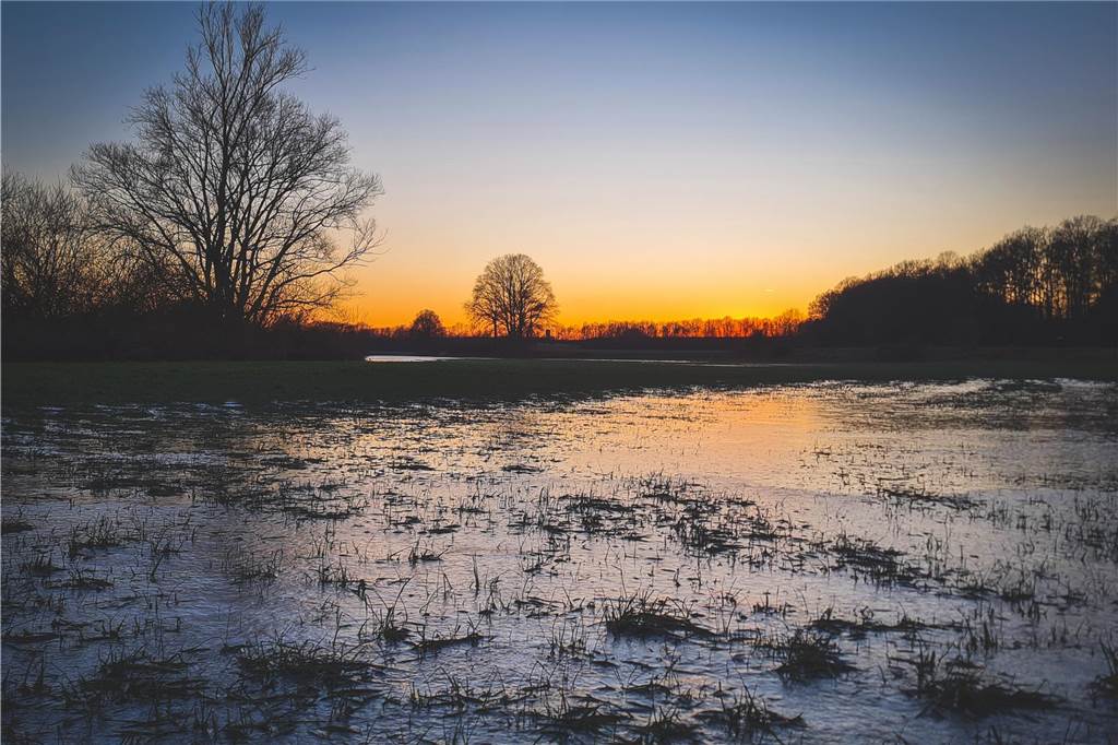 Unsere Leserinnen und Leser haben uns viele schöne Winterfotos aus Haltern zugeschickt.