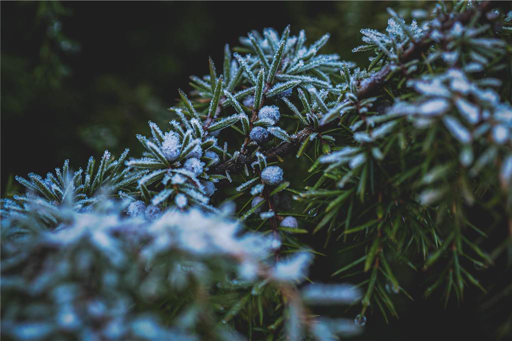 Unsere Leserinnen und Leser haben uns viele schöne Winterfotos aus Haltern zugeschickt.