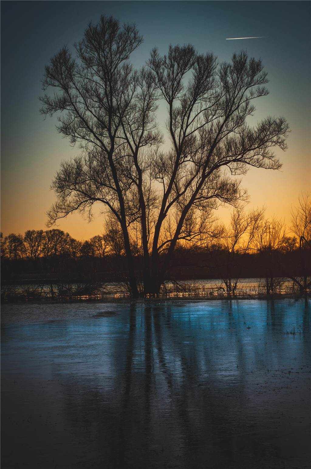 Unsere Leserinnen und Leser haben uns viele schöne Winterfotos aus Haltern zugeschickt.