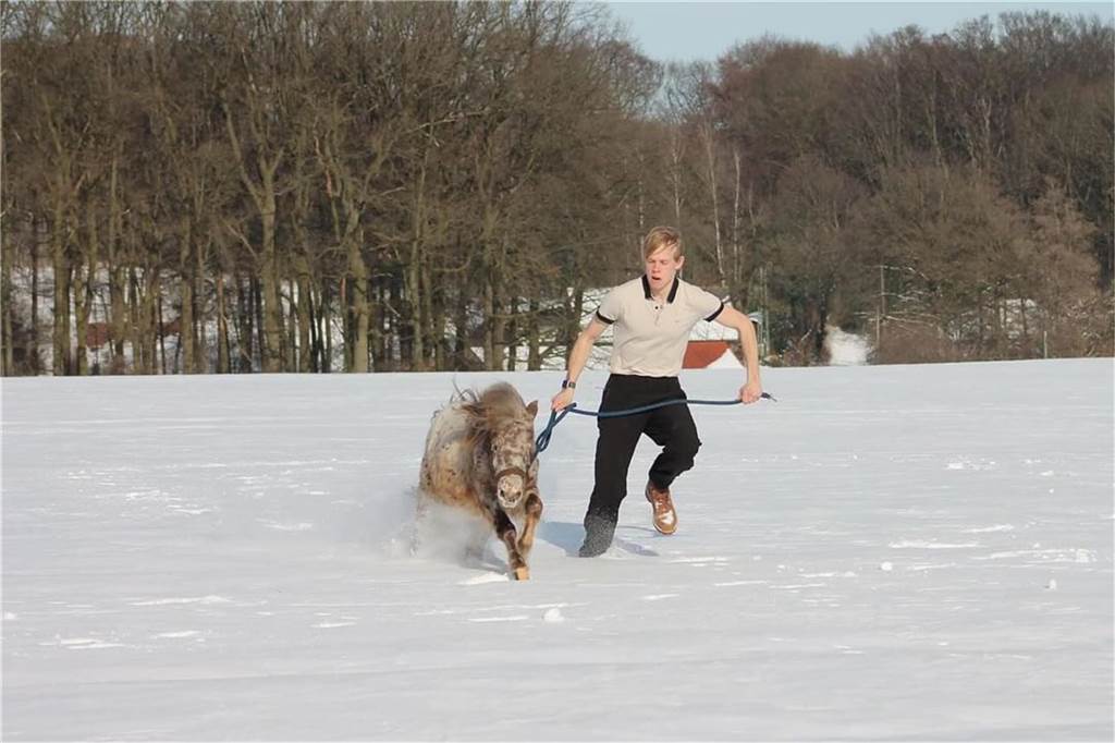 Unsere Leserinnen und Leser haben uns viele schöne Winterfotos aus Haltern zugeschickt.