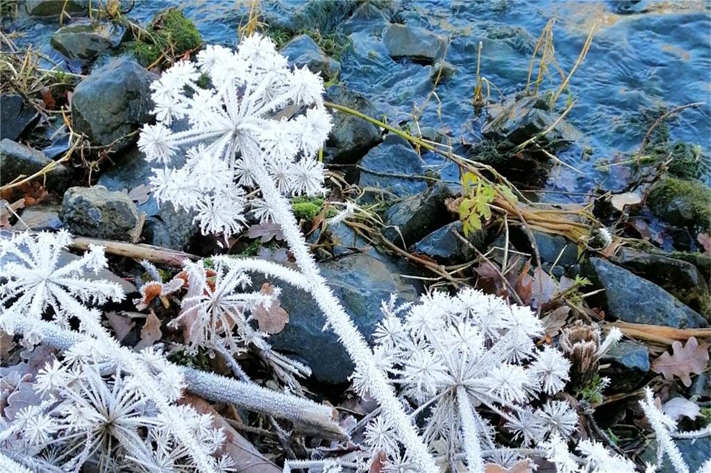Unsere Leserinnen und Leser haben uns viele schöne Winterfotos aus Haltern zugeschickt.