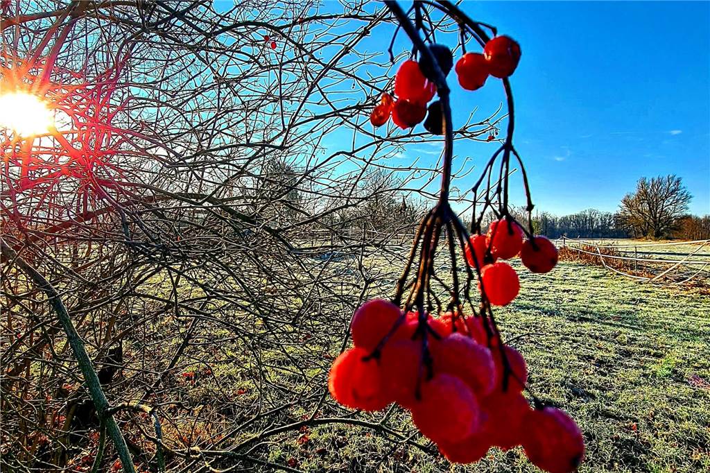 Unsere Leserinnen und Leser haben uns viele schöne Winterfotos aus Haltern zugeschickt.