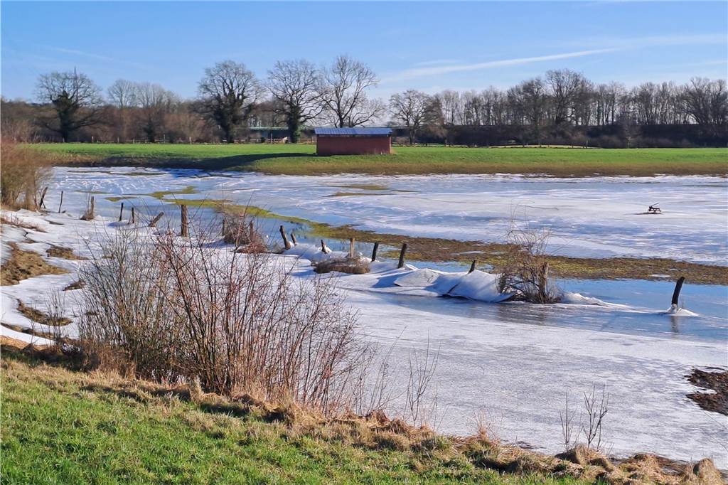 Unsere Leserinnen und Leser haben uns viele schöne Winterfotos aus Haltern zugeschickt.