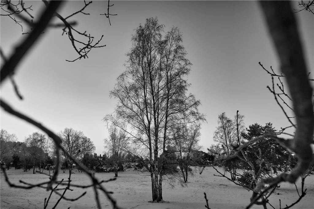 Unsere Leserinnen und Leser haben uns viele schöne Winterfotos aus Haltern zugeschickt.